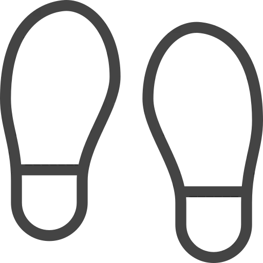 Zapatillas