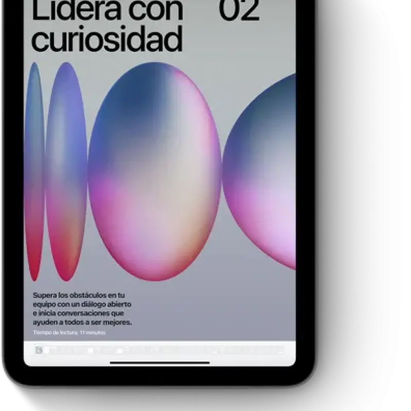 Tablet Apple Ipad Mini  Wifi 16Gb