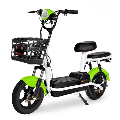 Moto Electrica